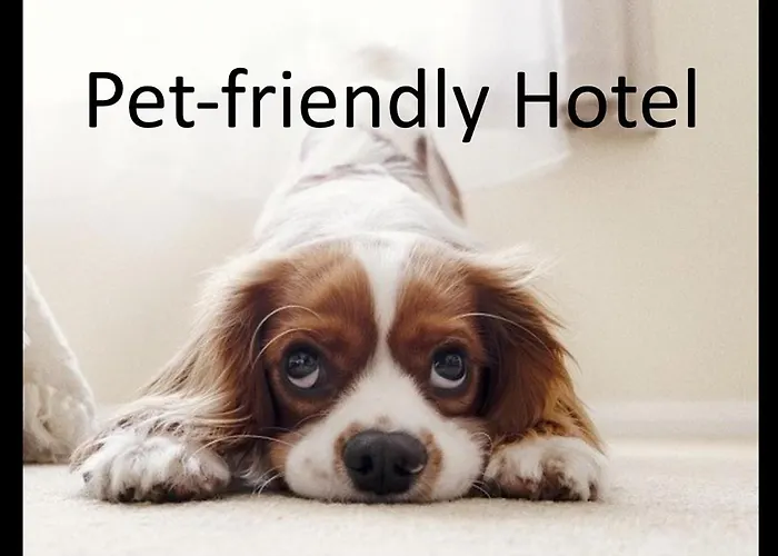 Euromotel Croce Bianca Ξενοδοχείο