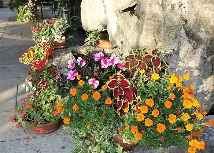 Euromotel Croce Bianca 2*