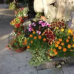 Hotel Euromotel Croce Bianca