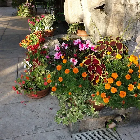 מלון Euromotel Croce Bianca